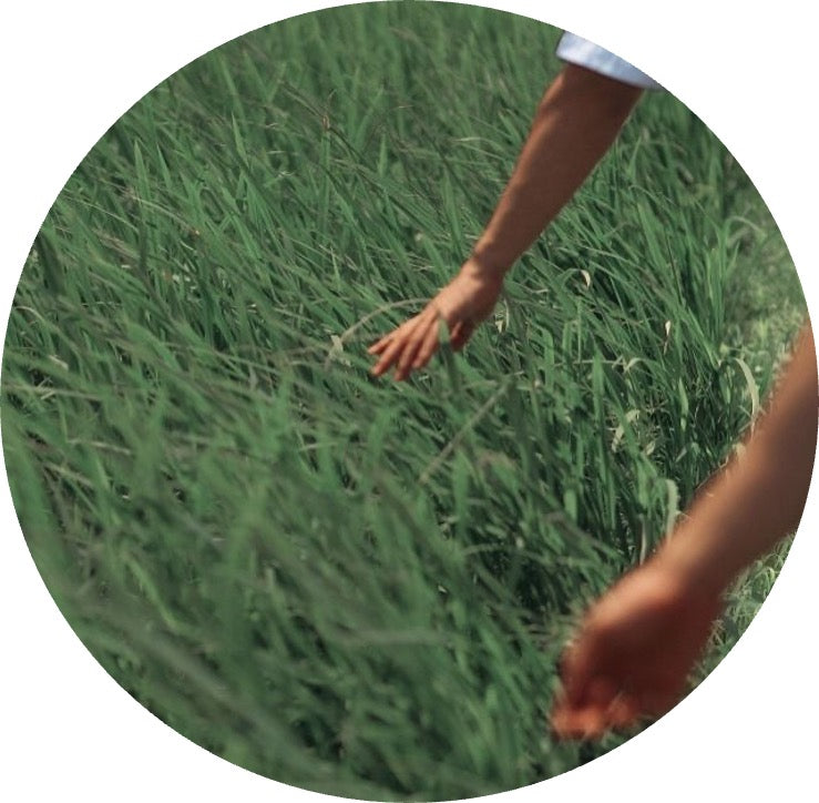 Cultivating Connections